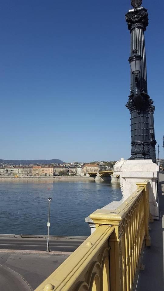 New, High Quality Apartment In The City Center Budapest Bagian luar foto